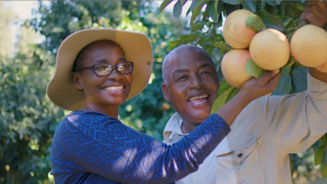 Symrise - Discover KwaZulu-Natal, discover our world of Grapefruit