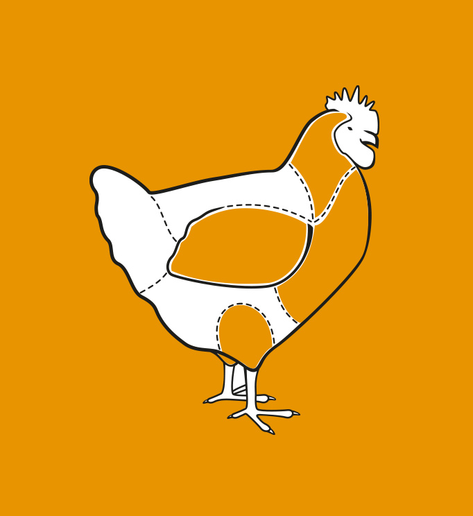 Zeichnung eines Huhns