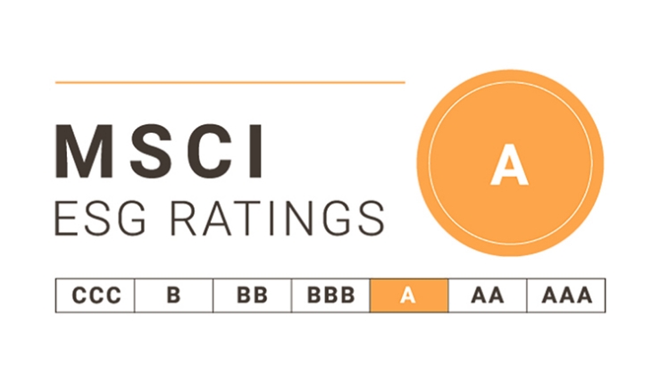img--logo-msci