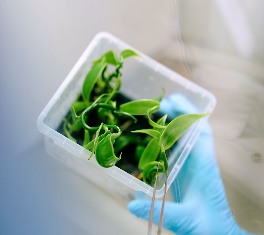 From the field to the laboratory and back