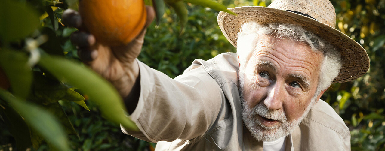 Man picking an orange
