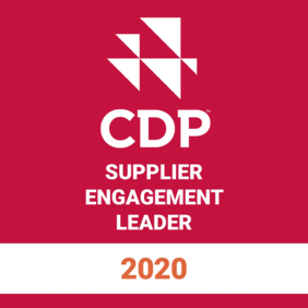 CDP 2020