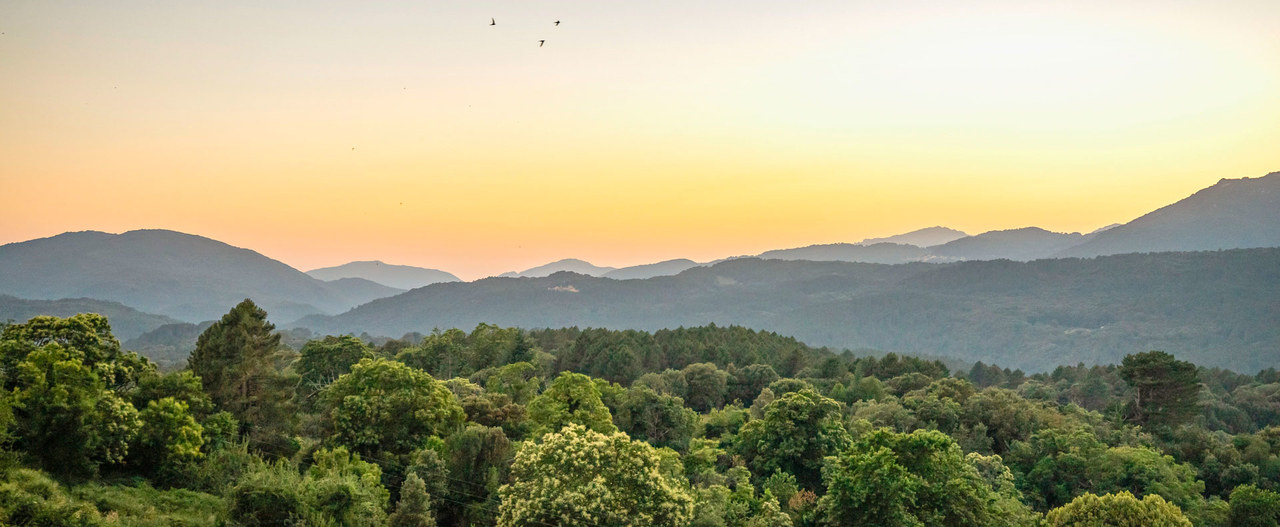 Aussicht auf Berge und Wald