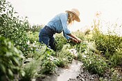 Woman working in the garden