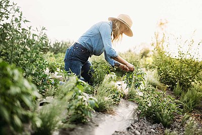 Frau arbeitet im Garten