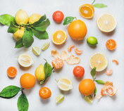 Symrise Citrus-Geschmacksexpertise