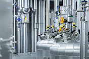 Symrise stärkt globale Basis für nachhaltige Moschusriechstoffe