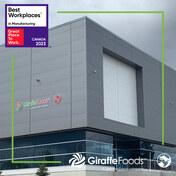 Award for Giraffe Foods – a Symrise Group company – as Great Place to Work in Manufacturing.