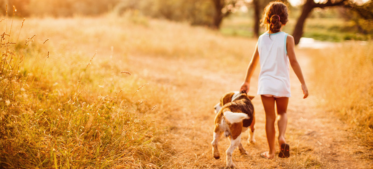 Ein kleines Mädchen geht mit einem Hund in der Natur spazieren.