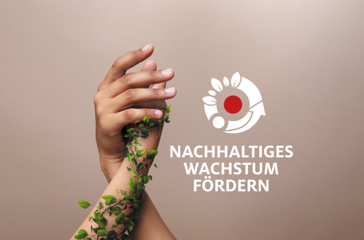 NACHHALTIGES WACHSTUM FÖRDERN NACHHALTIGES WACHSTUM FÖRDERN