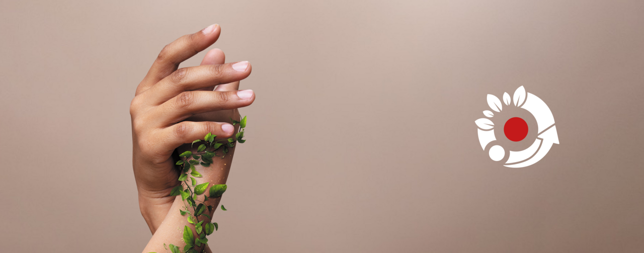 Embrace Sustainable Growth