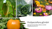 ProSpecieRara & Symrise 