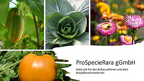 ProSpecieRara & Symrise 