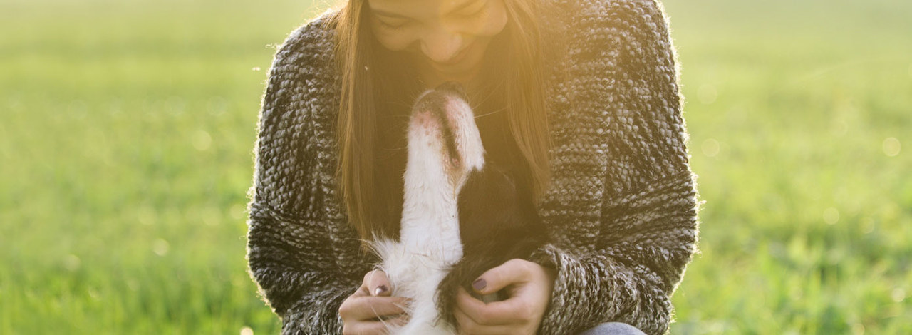 Symrise Videka: pet food protection