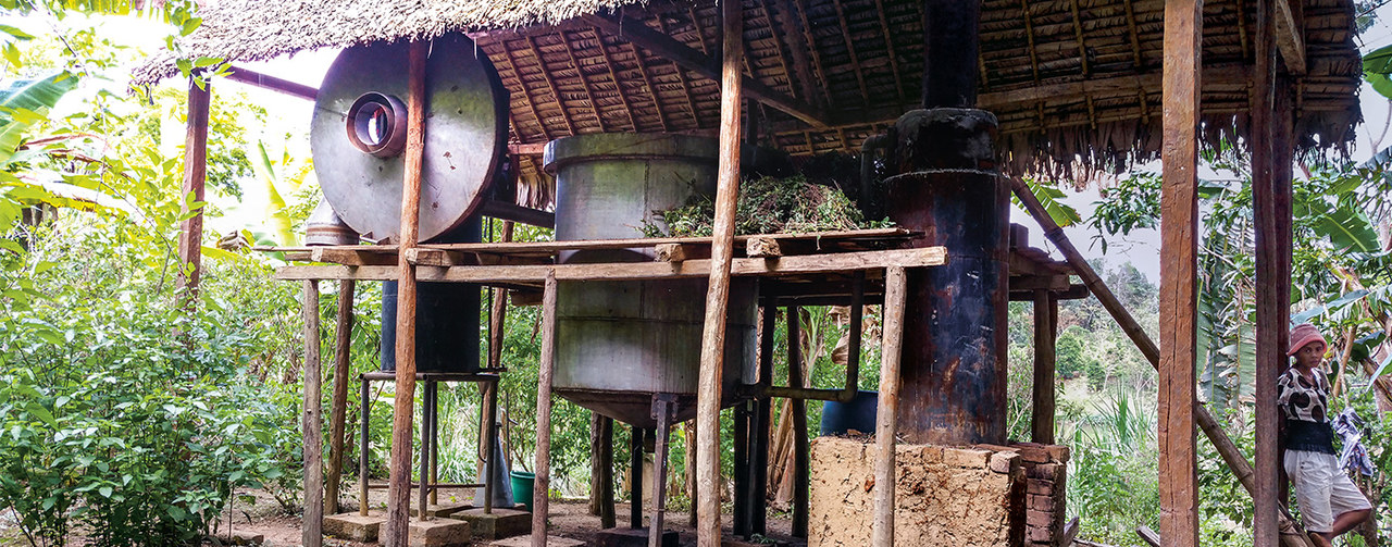 System zur Verarbeitung von Zimtrinde in einem Dorf in Madagaskar
