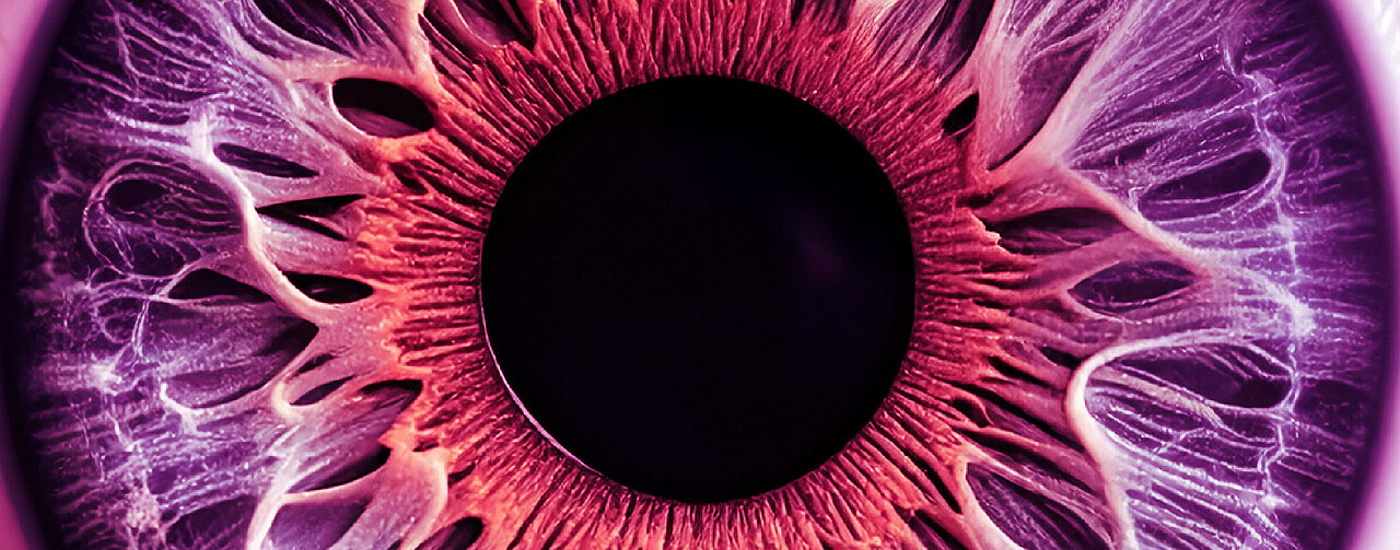Menschliches Auge Nahaufnahme
