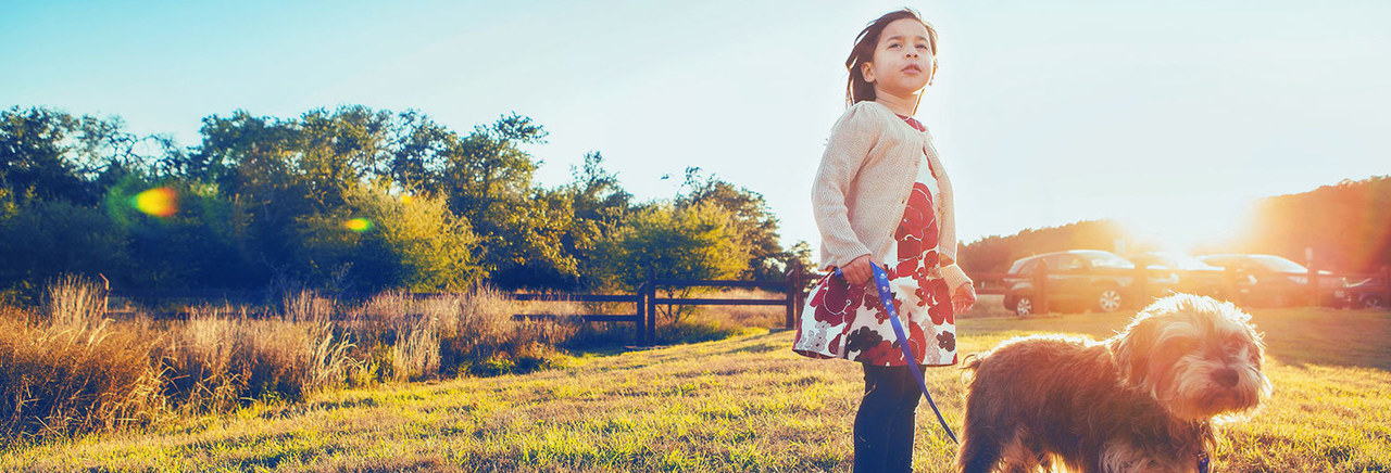 Our unique approach A young girl is walking with her dog in a meadow.