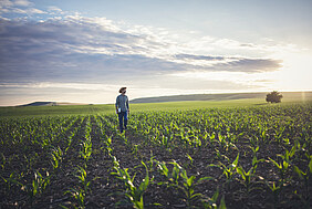 Man in a green field