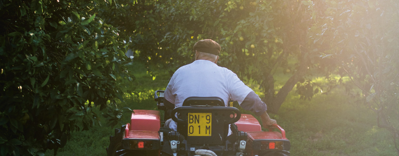 Mann auf Traktor (von hinten)