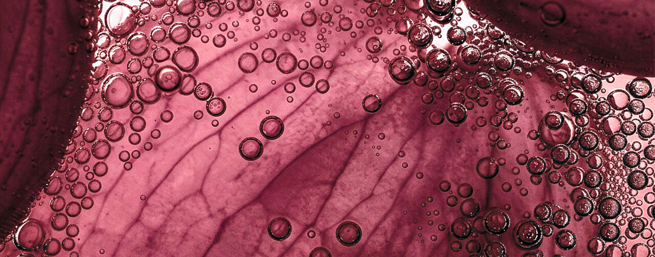 Purple tissue with bubbles