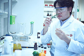 Science-powered flavor creation