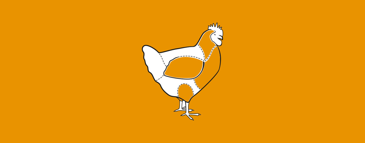 Drawing of chicken and its different parts