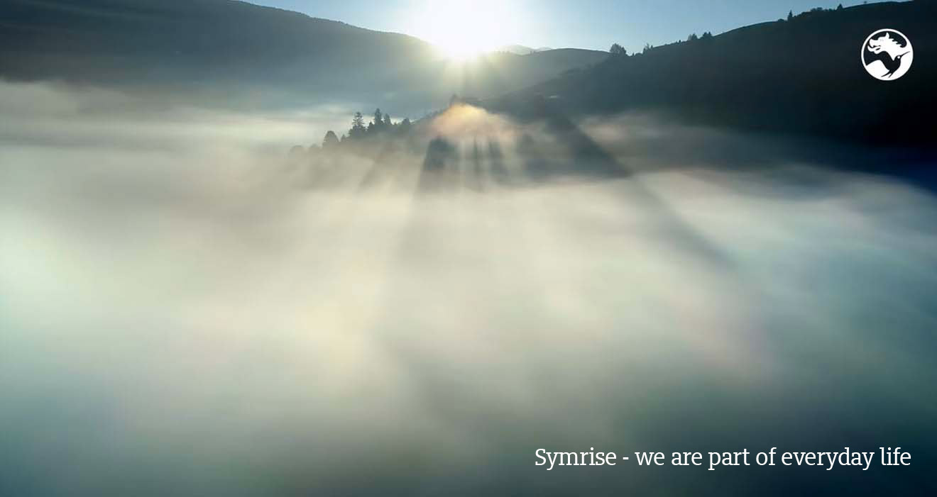 Video - Symrise - we are part of everyday life