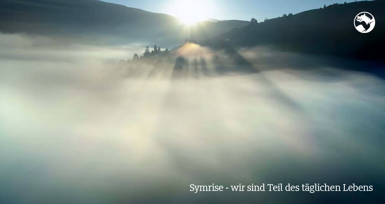 Video - Symrise - wir sind Teil des täglichen Lebens