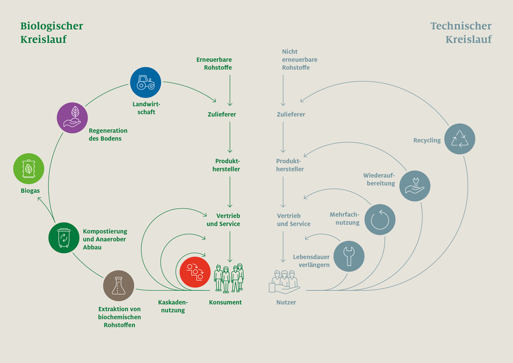 Grafik biologischer und technischer Kreislauf