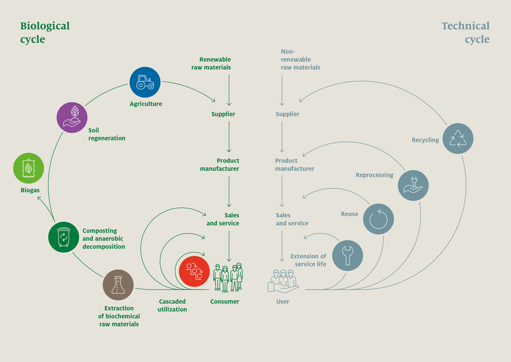 Biological and technical cycle infographic