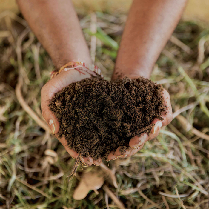 compost heap in hands