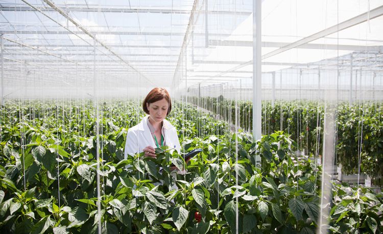 Woman in greenhouse with plants