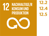 SDG 12