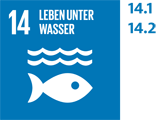 SDG 14