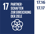 SDG 17