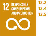 SDG 12