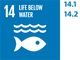 SDG 14