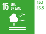 SDG 15