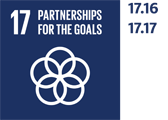 SDG 17