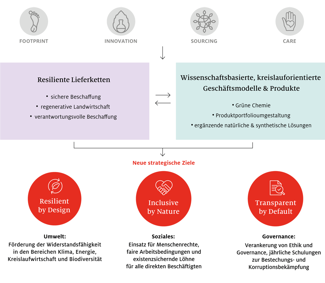 Strategische Zeiele