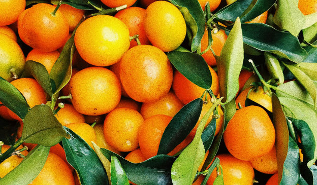 Oranges