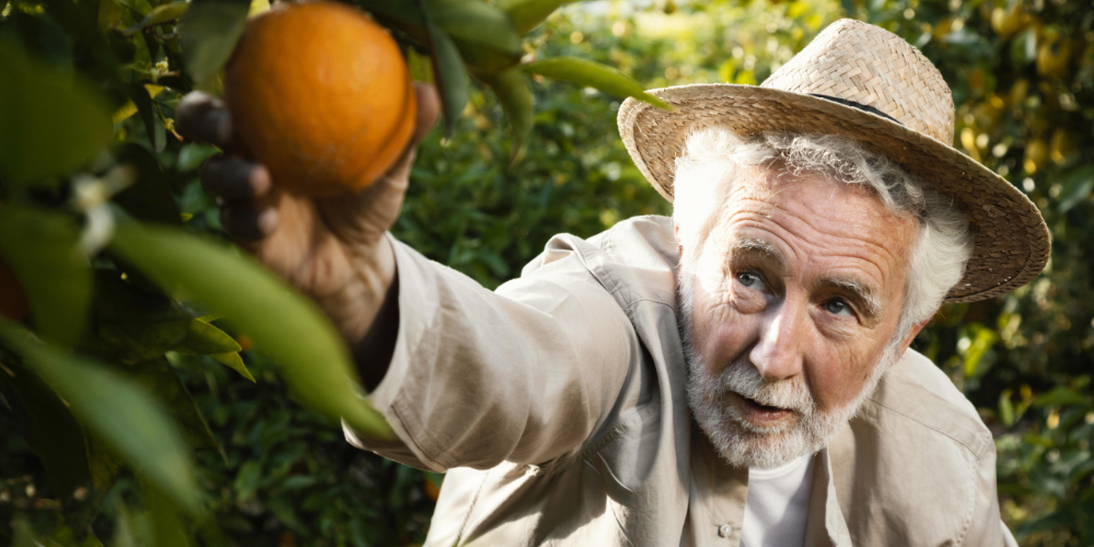 Man picking an orange