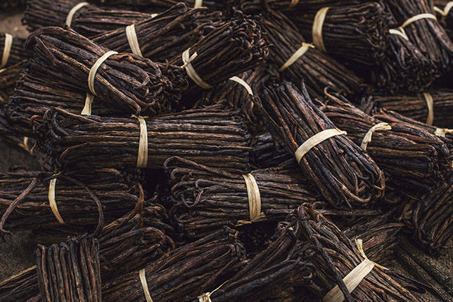 Vanilla for dairy plant based alternative products