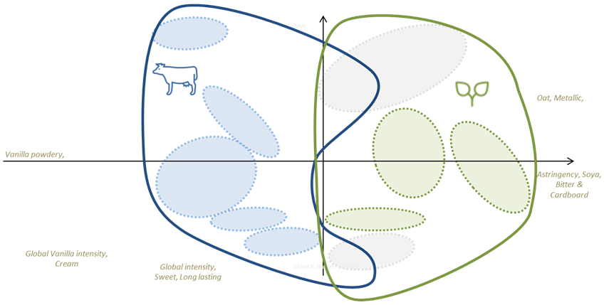Vegan market sensory map: plant-based vs real dairy