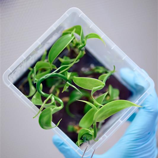 Innovation Innovation