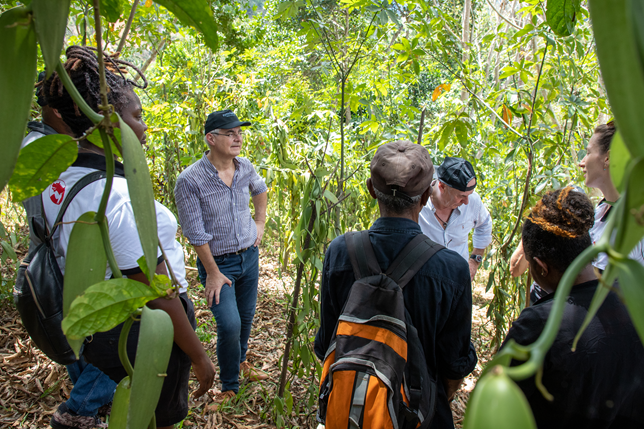 Vanilla research SustainVanil