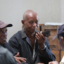 Erkunden Sie unsere Welt der Vanille