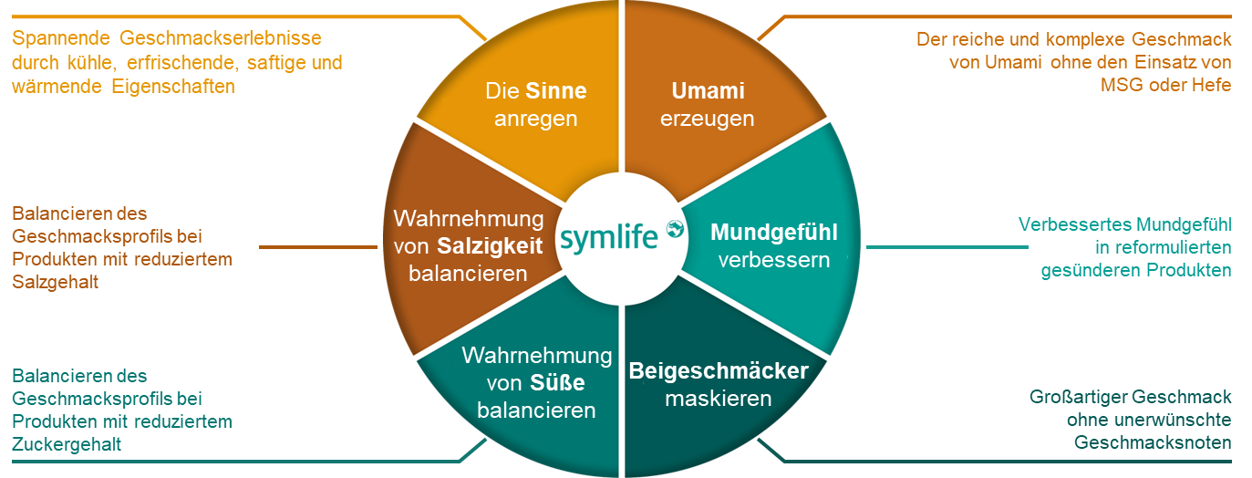 Rad mit 6 Abschnitten