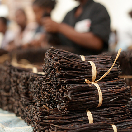 Vanilla —a global favorite