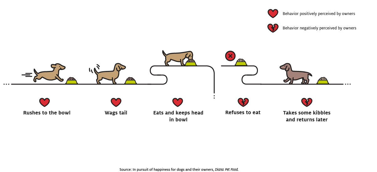 Symrise pet food performance